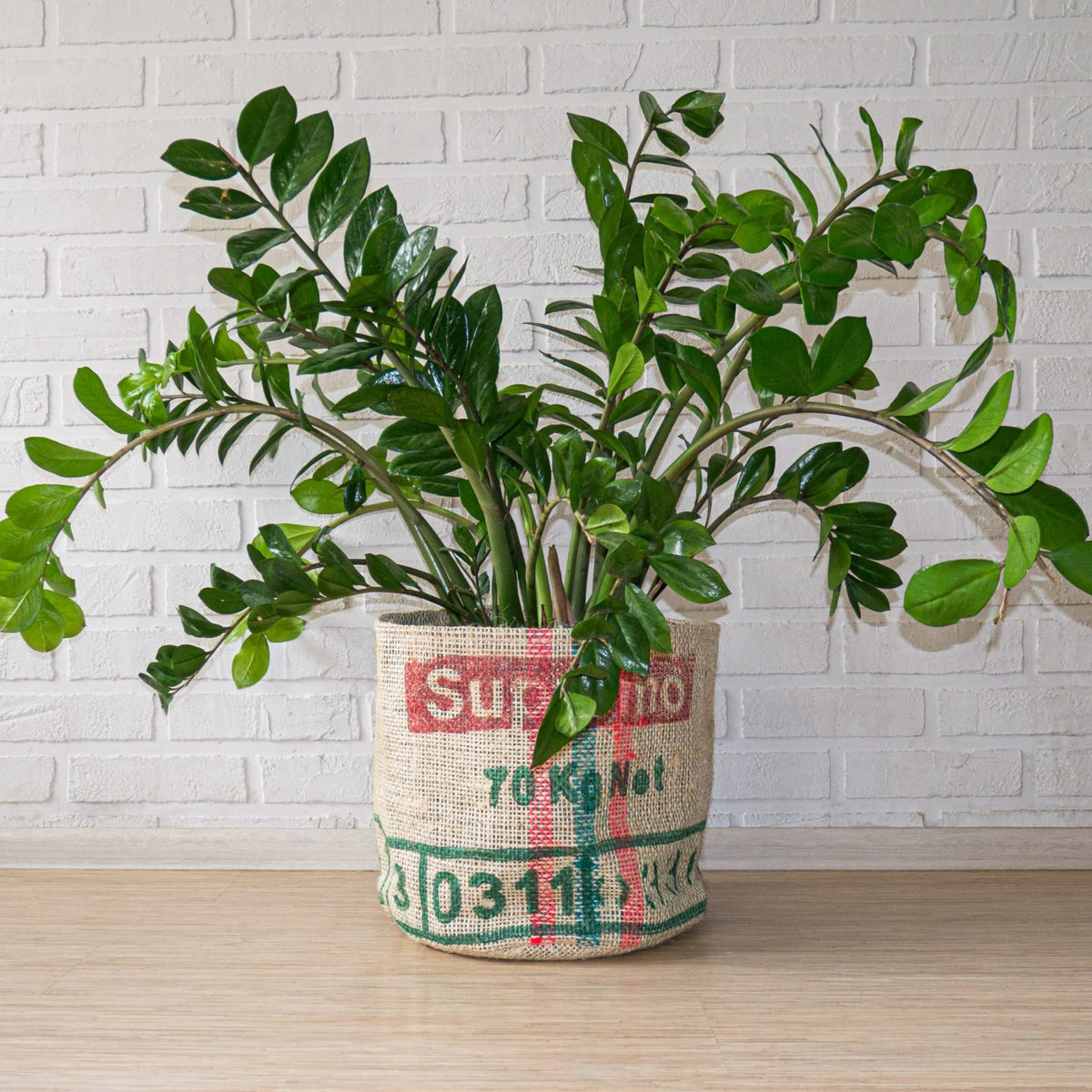 hessian pot plant covers Plant Pot Covers