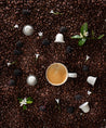 Ethiopian Coffee - Blue Goose Coffee