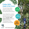 Organic Ethiopian 'Forest Coffee' Pods - Blue Goose Coffee
