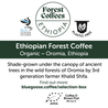 Organic Ethiopian 'Forest Coffee' Pods - Blue Goose Coffee